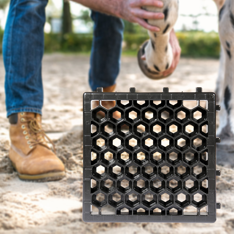 100 m² Paddockplatte ohne Unterbau 30 Angebote